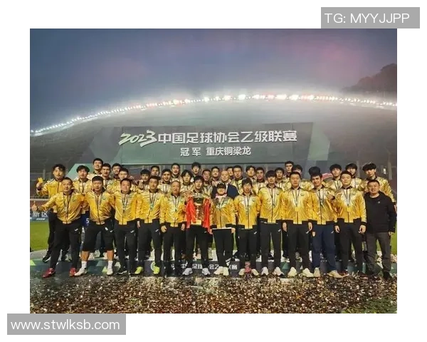 重庆足球队在全国锦标赛中的团队协作表现分析与点评